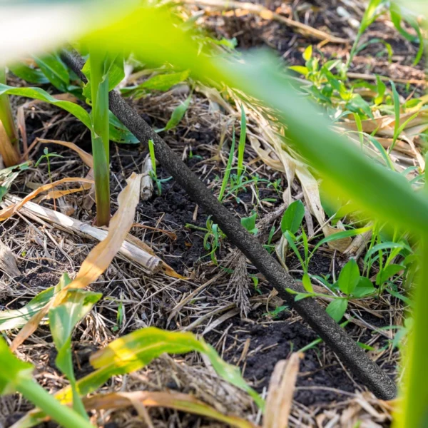 Kapkový zavlažovací systém – úsporné a přesné zavlažování