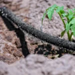 Kapkový zavlažovací systém – úsporné a přesné zavlažování