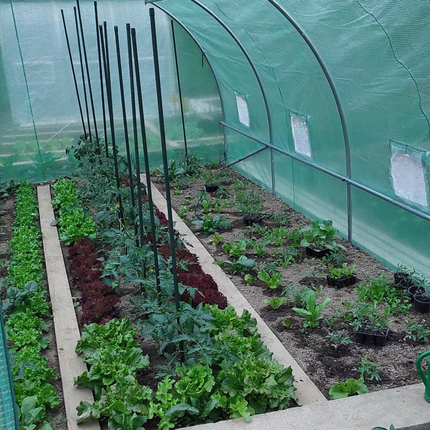 Eva Vránová - Vynikající nákup! Se skleníkem jsem nadšená! Tady je fotka mých záhonů.