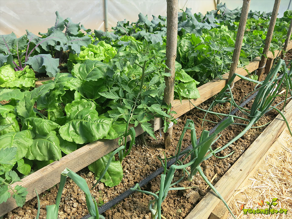 Monika Šafářová - Jsem spokojená, je přesně taková jako na obrázku a instalace je jednoduchá.