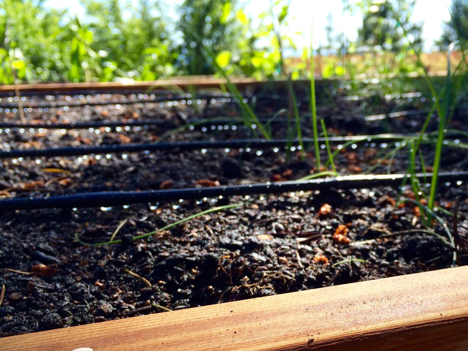 Barbora Světlíková - Hadice na zavlažování plní svůj účel a velmi mi usnadňuje práci na zahradě. Jsem s nákupem velmi spokojená.