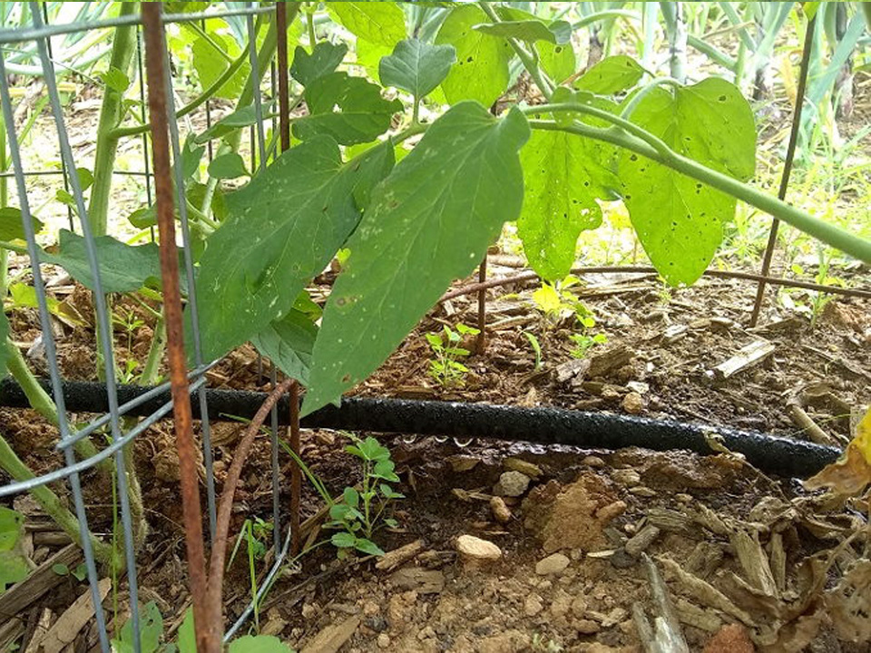 Iveta Kadlecová - Skvělé, doporučuji nákup!